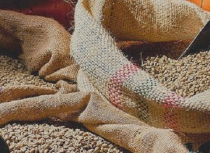 Wholesale Arabica Coffee Beans