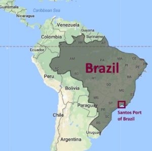 Brazil Santos Coffee Bean