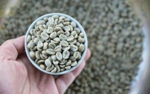 Fresh Specialty Arabica Coffee Beans