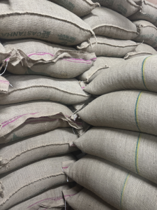 Green Coffee Beans in Warehouse