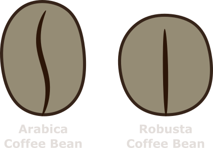 HS Coffee